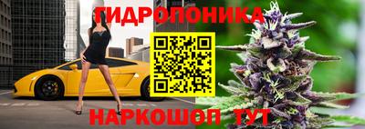 твердый Ефремов
