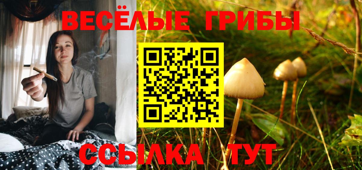 Псилоцибиновые грибы Psilocybe Воткинск